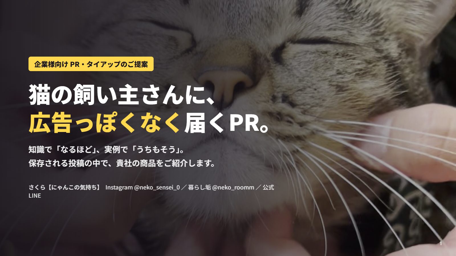 提案資料 1枚目