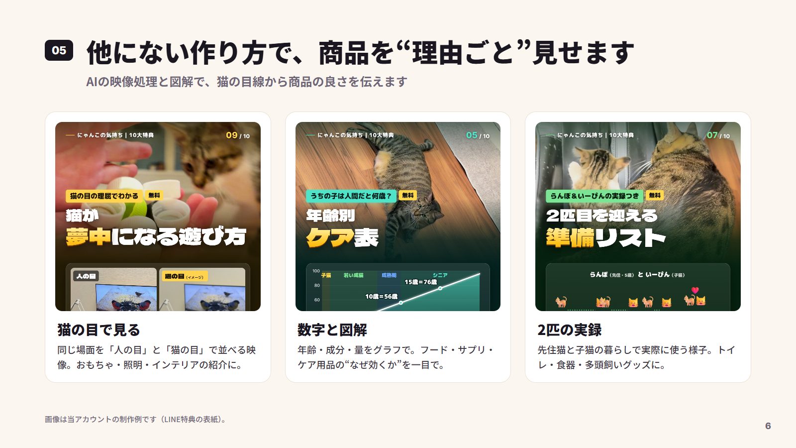 提案資料 6枚目